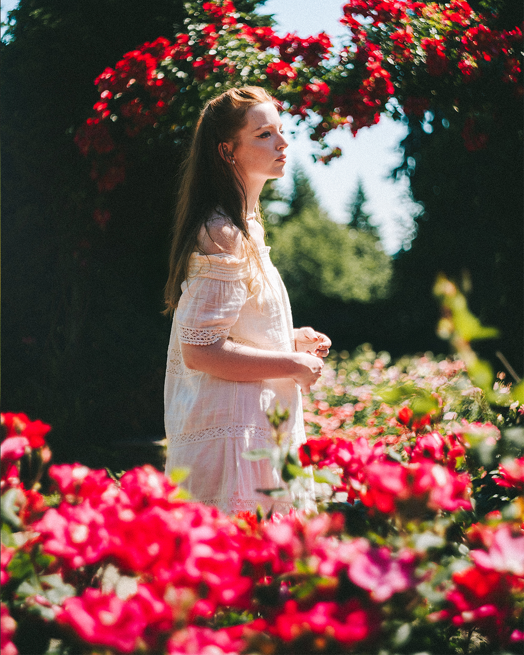 Creative Editorial Portraits at a Rose Garden in Portland — photograph 20 of 20